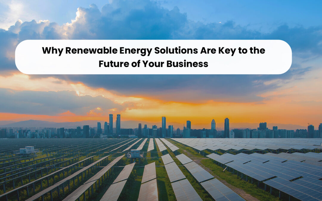 Why Renewable Energy Solutions Are Key to the Future of Your Business