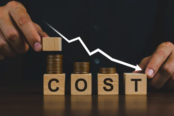 Cost Cutting Lightning - Cost Cutting